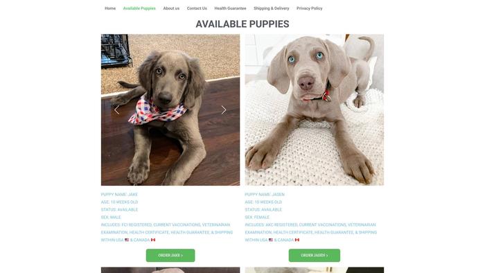 Cameronweimaranerangelshome.com - Weimaraner Puppy Scam Review