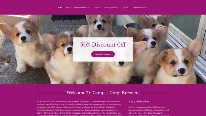 Campascorgibreeders.com - Corgi Puppy Scam Review