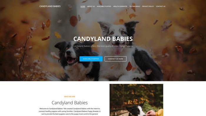 Candylandbabies.com - Australian Shepherd Puppy Scam Review