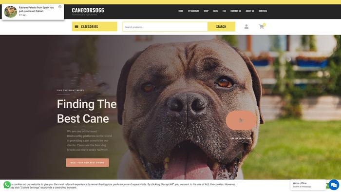 Canecorso66.com - Cane Corso Puppy Scam Review