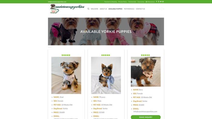 Cassieteacupyorkies.com - Yorkshire Terrier Puppy Scam Review