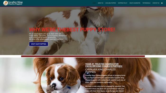 Cavalierkingcharlespupshome.com - Cavalier King Charles Spaniel Puppy Scam Review