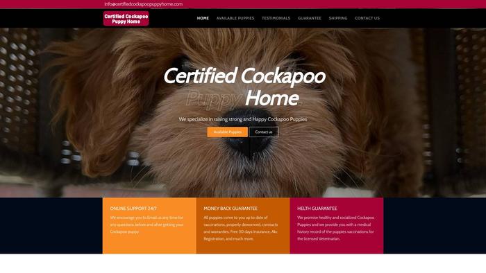 Certifiedcockapoopuppyhome.com - Cockapoo Puppy Scam Review