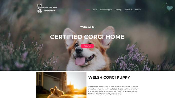 Certifiedcorgipuppyhome.com - Corgi Puppy Scam Review