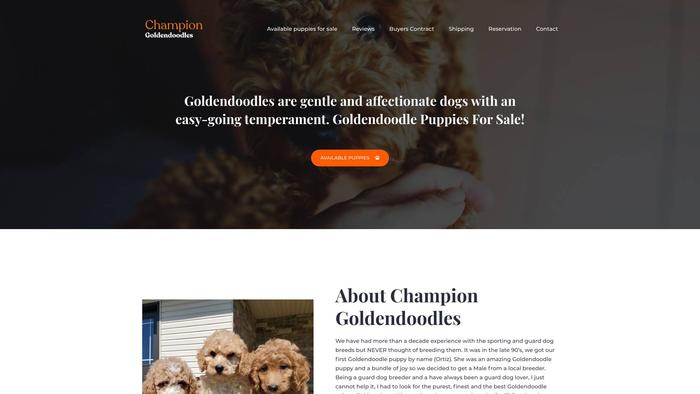 Championgoldendoodle.com - Golden Doodle Puppy Scam Review