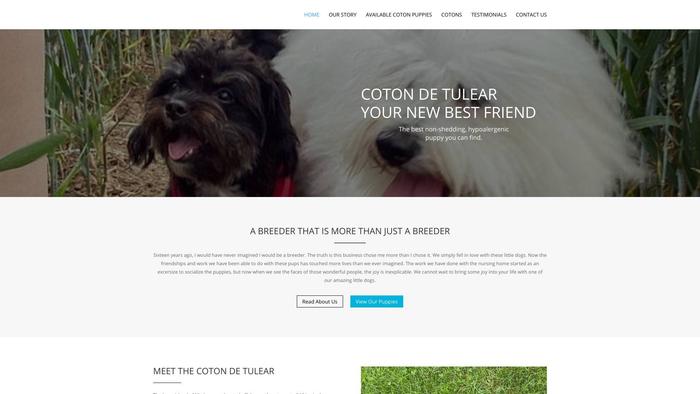 Championpetshome.com - Coton De Tulear Puppy Scam Review