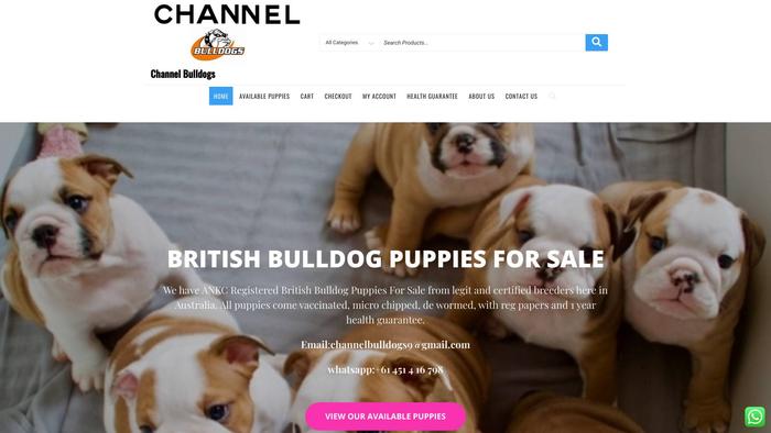 Channelbulldogs.com - English Bulldog Puppy Scam Review