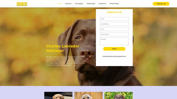 Charleslabradorretriever.com - Golden Retriever Puppy Scam Review