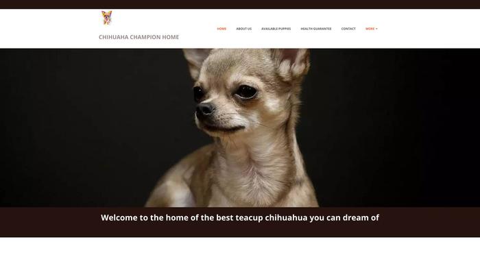 Chihuahuachampionhome.com - Chihuahua Puppy Scam Review