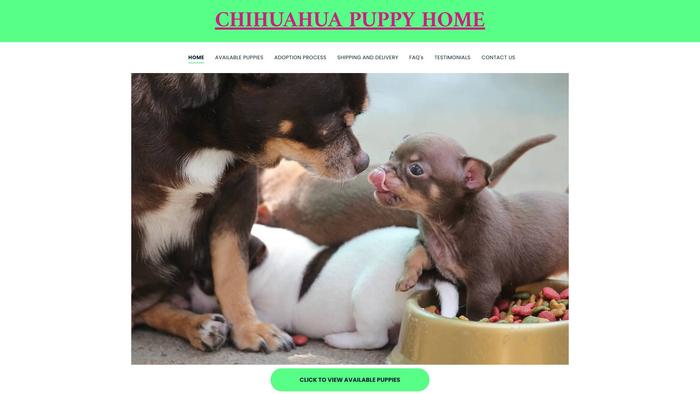 Chihuahuacuttypuppies.com - Chihuahua Puppy Scam Review