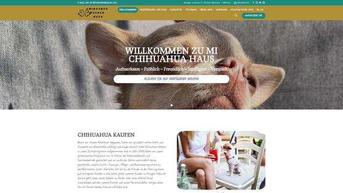 Chihuahuakaufen.com - Chihuahua Puppy Scam Review