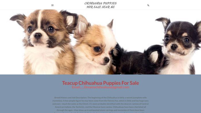 Chihuahuapuppiesforsale.company.com - Chihuahua Puppy Scam Review