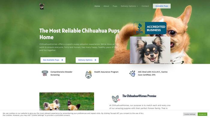 Chihuahuas4homes.com - Chihuahua Puppy Scam Review