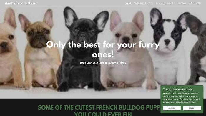 Chubbyfrenchbulldogs.com - French Bulldog Puppy Scam Review