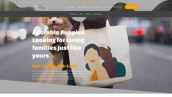 Citiipuppy.com - Maltipoo Puppy Scam Review