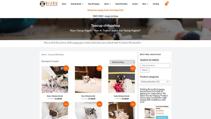 Clarischihuahuapuppies.com - Chihuahua Puppy Scam Review