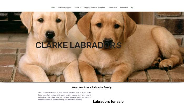 Clarkelabradors.com - Labrador Puppy Scam Review