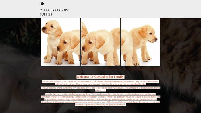 Clarklabardors.com - Labrador Puppy Scam Review