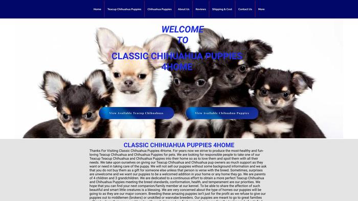 Classicchihuahuapuppies.com - Chihuahua Puppy Scam Review