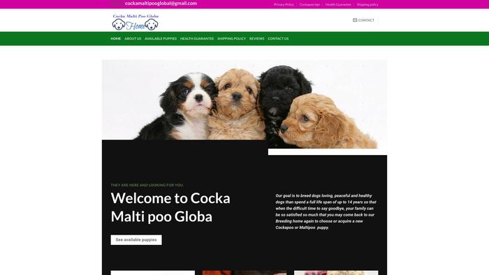 Cockamaltipooglobal.com - Cockapoo Puppy Scam Review