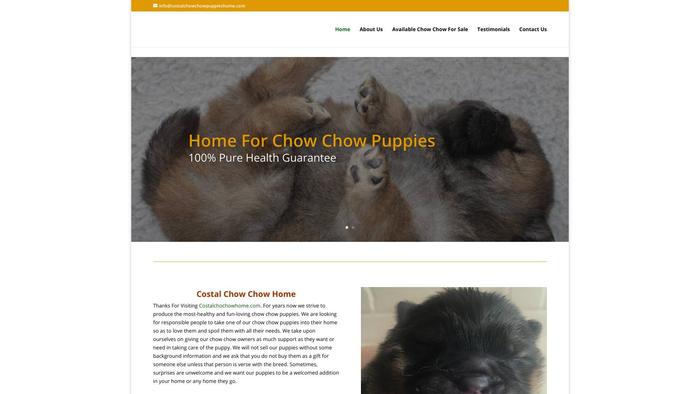 Costalchowchowpuppieshome.com - Chowchow Puppy Scam Review