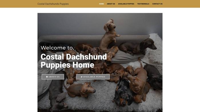 Costaldachshundpuppies.com - Dachshund Puppy Scam Review