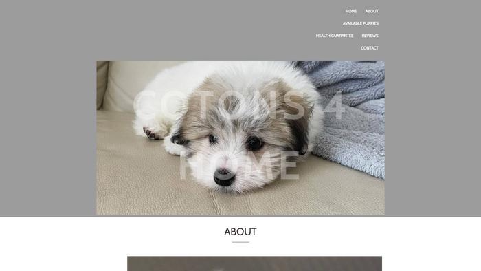 Cotons4home.com - Coton De Tulear Puppy Scam Review