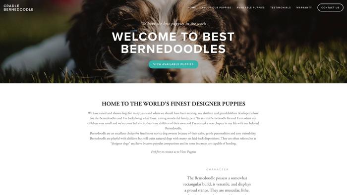 Cradlebernedoodle.com - Bernedoodle Puppy Scam Review