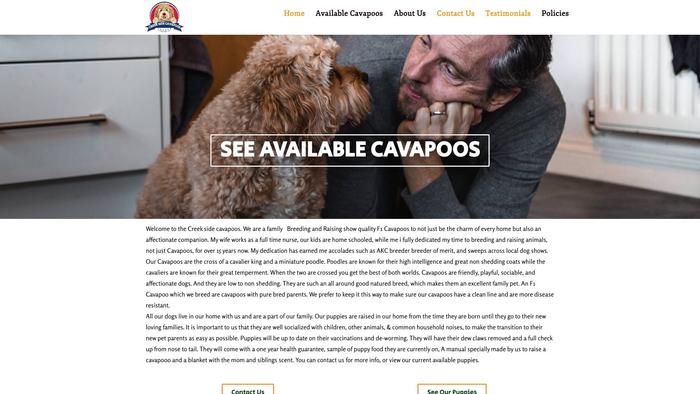 Creeksidecavapoos.com - Cavapoo Puppy Scam Review