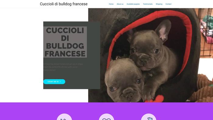 Cuccioli-di-bulldog-francese.com - Bulldog Puppy Scam Review