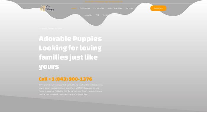 Cutecitipuppies.com - Maltipoo Puppy Scam Review