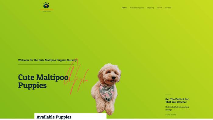 Cutemaltipoosnursery.com - Maltipoo Puppy Scam Review