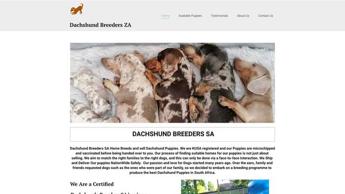 Dachshundbreedersza.com - Dachshund Puppy Scam Review