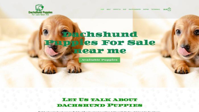 Dachshundpuppiesforsalenearme.com - Dachshund Puppy Scam Review