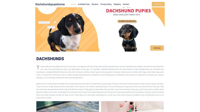 Dachshundpuppiesshop.com - Dachshund Puppy Scam Review