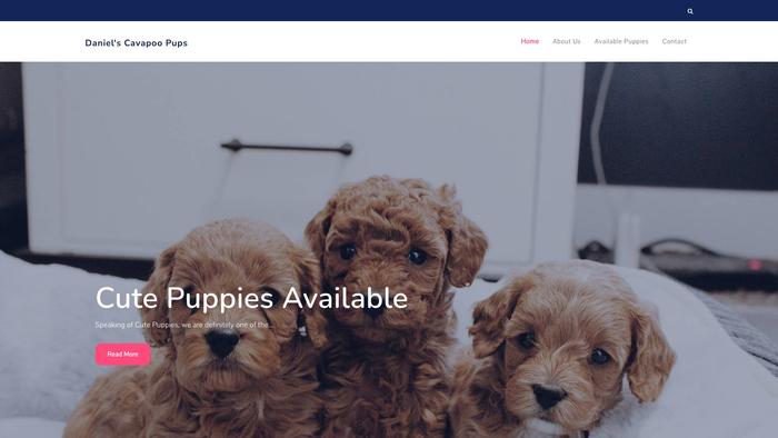 Danielscavapoopuppies.com - Cavapoo Puppy Scam Review