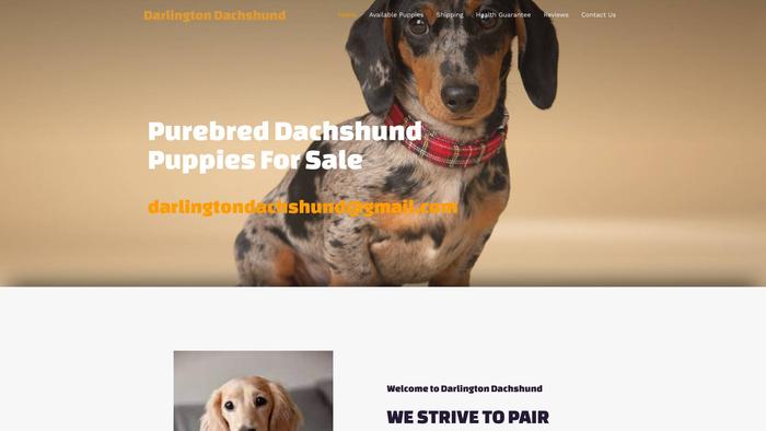 Darlingtondachshund.com - Dachshund Puppy Scam Review