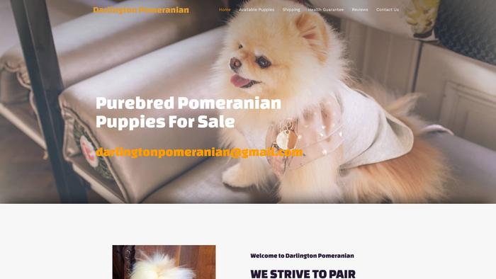 Darlingtonpomeranian.com - Pomeranian Puppy Scam Review