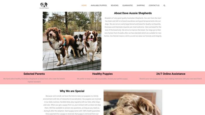 Daveaussieshepherds.com - Australian Shepherd Puppy Scam Review