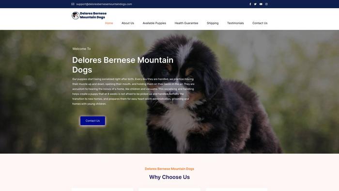 Deloresbernesemountaindogs.com - Bernese Mountain Dog Puppy Scam Review