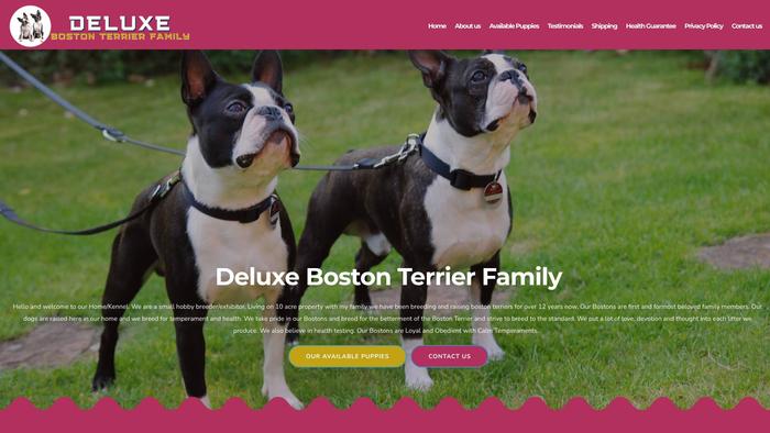 Deluxebostonterrierfamily.com - Boston Terrier Puppy Scam Review