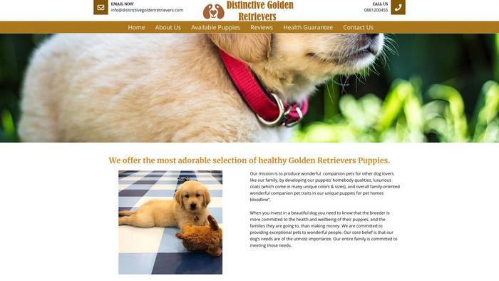 Distinctivegoldenretrievers.com - Golden Retriever Puppy Scam Review