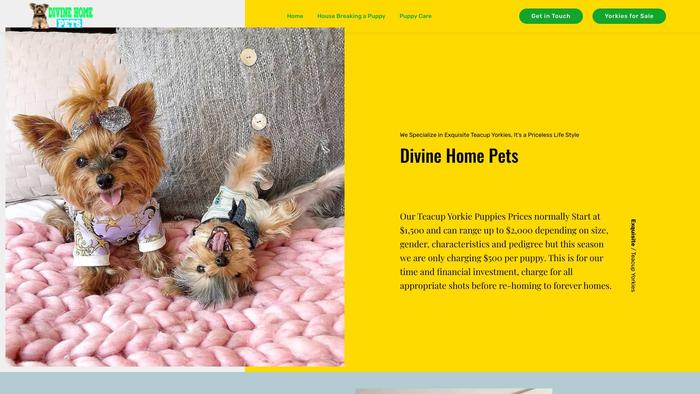 Divinehomepets.com - Yorkshire Terrier Puppy Scam Review