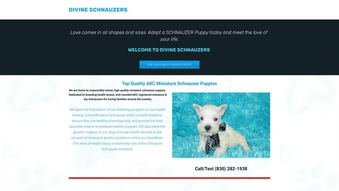 Divineschnauzers.online - Schnauzer Puppy Scam Review