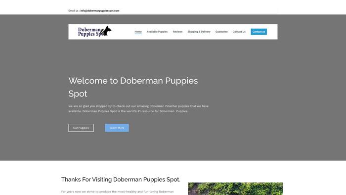 Dobermanpuppiesspot.com - Doberman Pinscher Puppy Scam Review