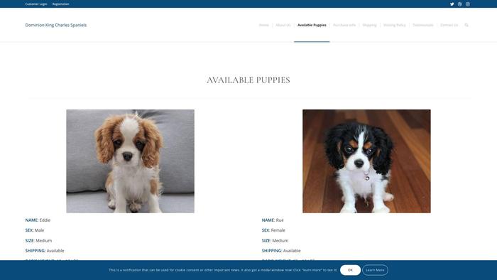 Dominionkingcharlesspaniels.com - Cavalier King Charles Spaniel Puppy Scam Review