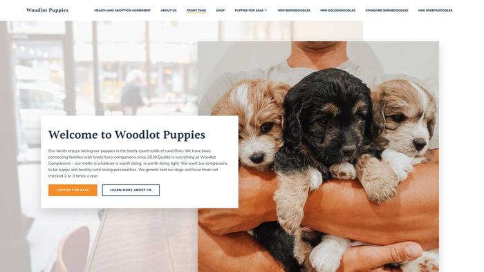 Doodlesandpoodles.store - Poodle Puppy Scam Review