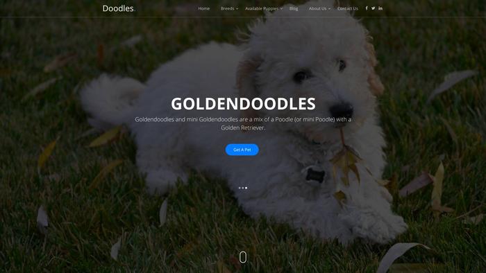 Doodlesdap.com - Labradoodle Puppy Scam Review