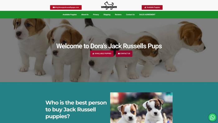 Dorasjackrussellspups.com - Jack Russell Terrier Puppy Scam Review