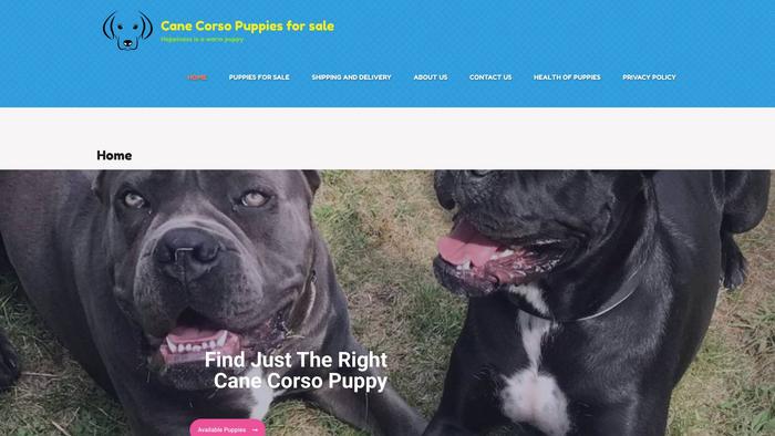 Dreamcanecorsopups.store - Cane Corso Puppy Scam Review